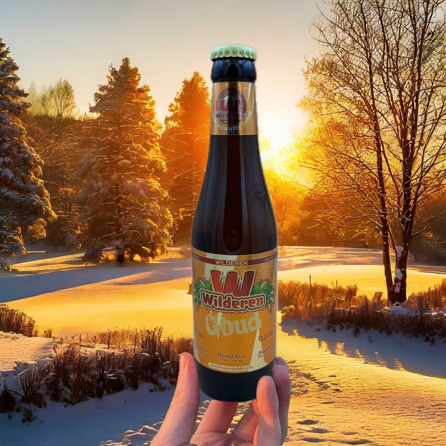 Wild Gold