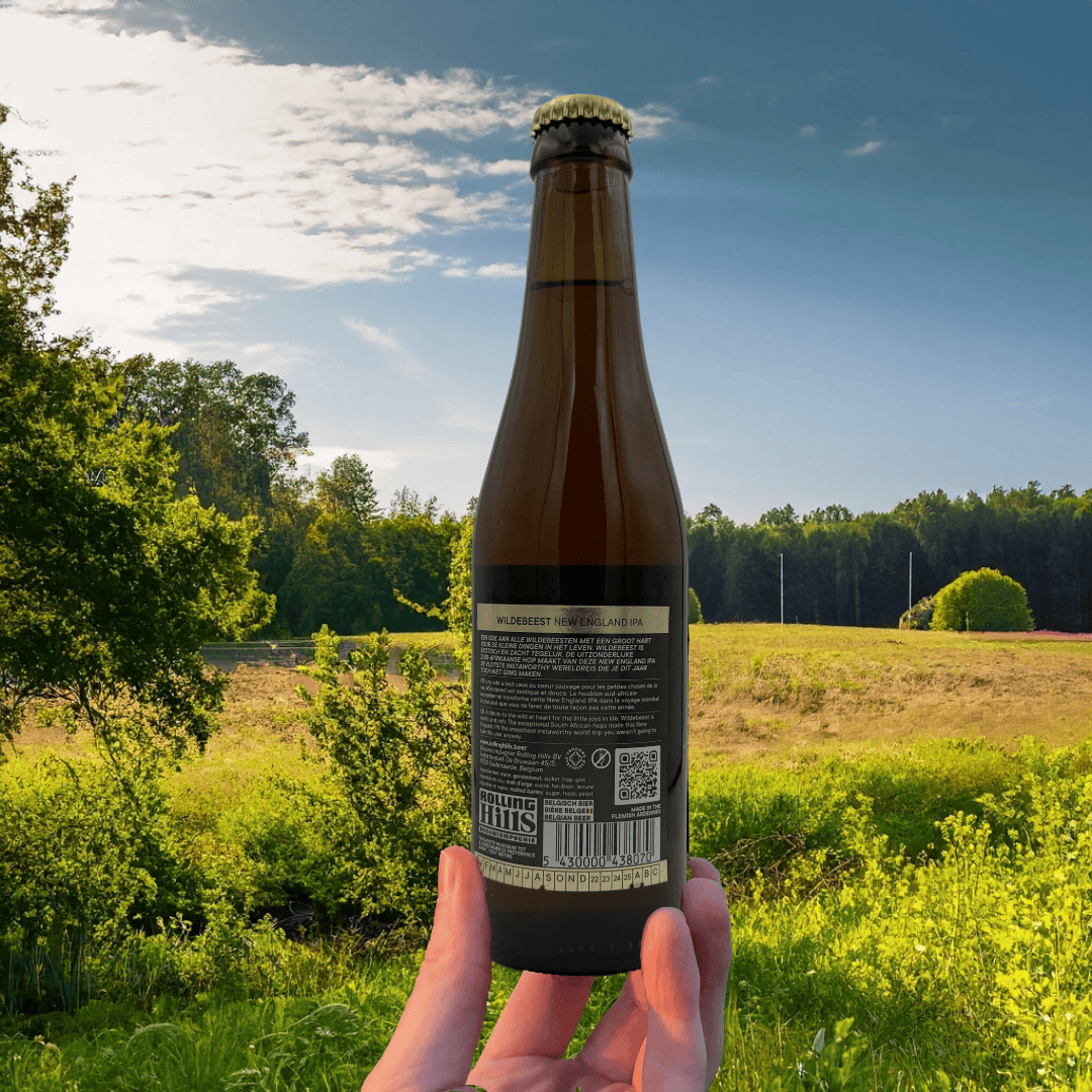 000 ___ Modèle Losse bières