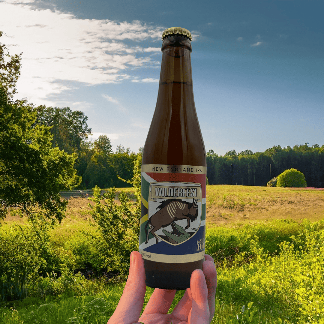 000 ___ Modèle Losse bières